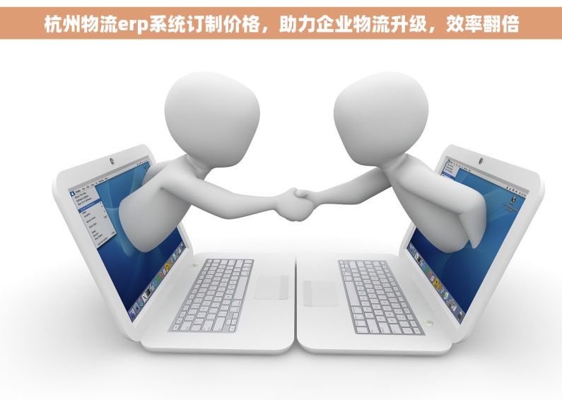 杭州物流erp系统订制价格，助力企业物流升级，效率翻倍