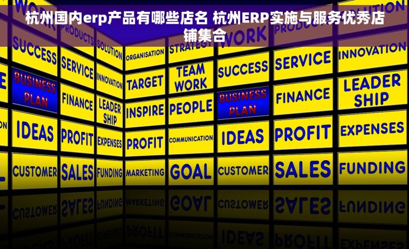 杭州国内erp产品有哪些店名 杭州ERP实施与服务优秀店铺集合