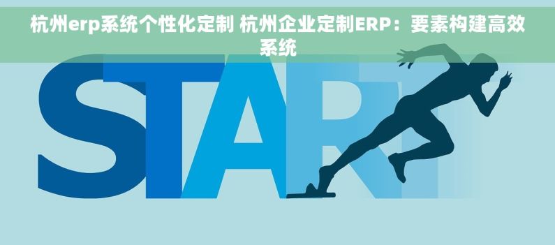 杭州erp系统个性化定制 杭州企业定制ERP：要素构建高效系统