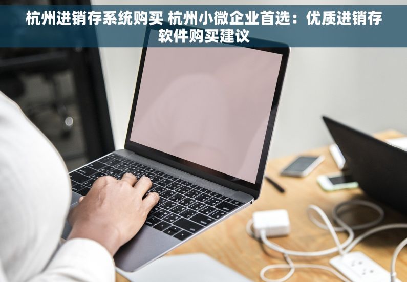 杭州进销存系统购买 杭州小微企业首选：优质进销存软件购买建议