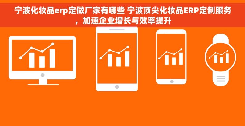 宁波化妆品erp定做厂家有哪些 宁波顶尖化妆品ERP定制服务，加速企业增长与效率提升