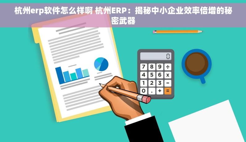 杭州erp软件怎么样啊 杭州ERP：揭秘中小企业效率倍增的秘密武器
