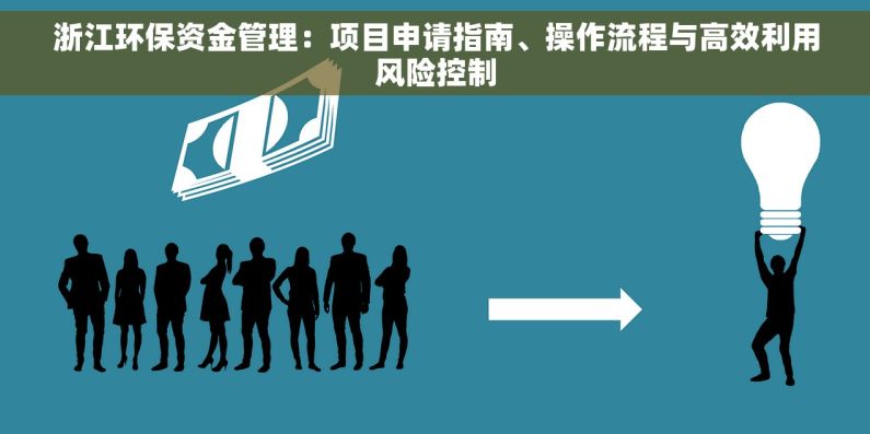 浙江环保资金管理：项目申请指南、操作流程与高效利用风险控制