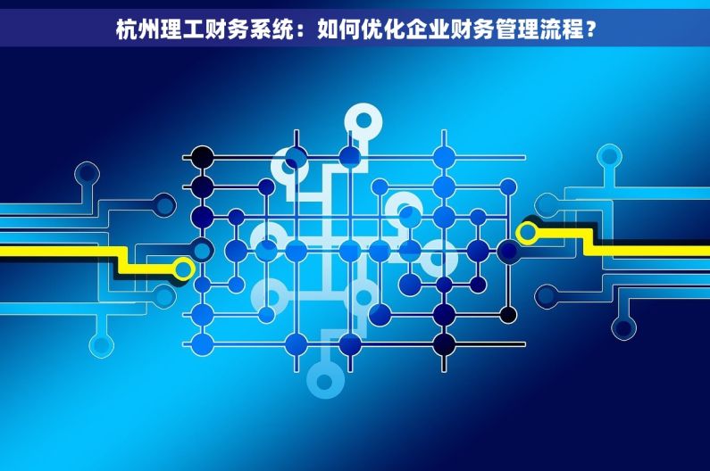 杭州理工财务系统：如何优化企业财务管理流程？