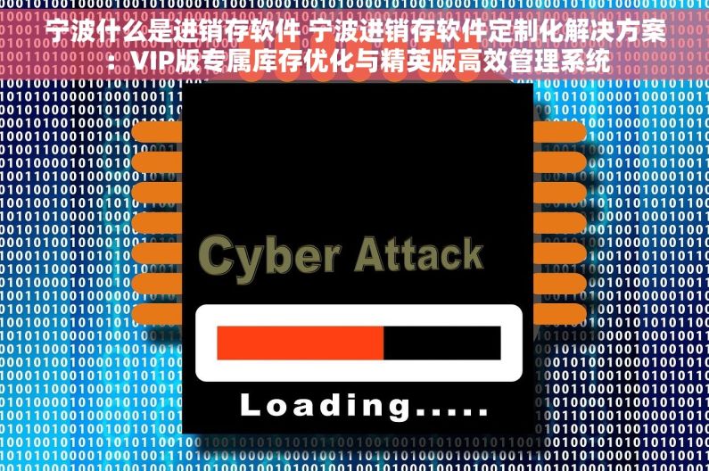 宁波什么是进销存软件 宁波进销存软件定制化解决方案：VIP版专属库存优化与精英版高效管理系统