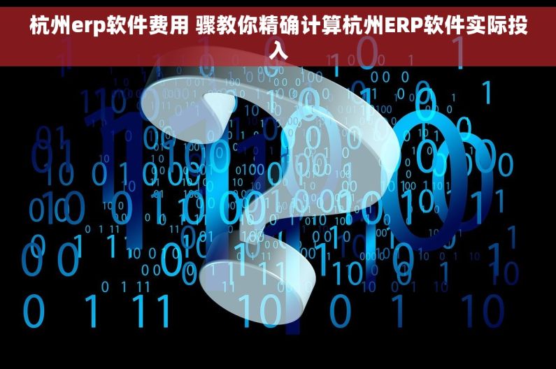 杭州erp软件费用 骤教你精确计算杭州ERP软件实际投入