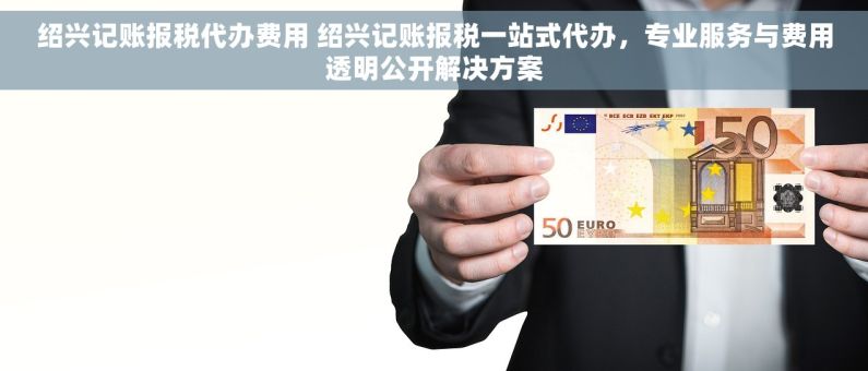 绍兴记账报税代办费用 绍兴记账报税一站式代办，专业服务与费用透明公开解决方案