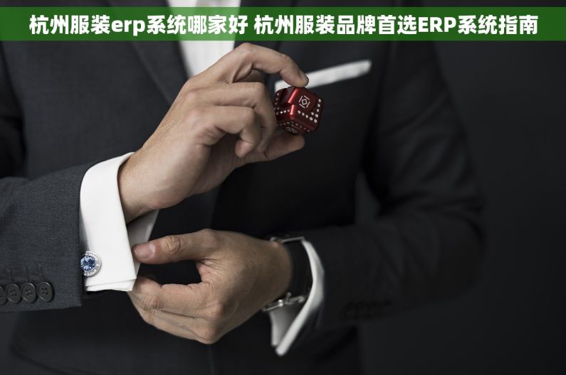 杭州服装erp系统哪家好 杭州服装品牌首选ERP系统指南