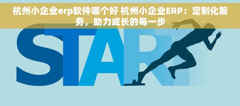 杭州小企业erp软件哪个好 杭州小企业ERP：定制化服务，助力成长的每一步