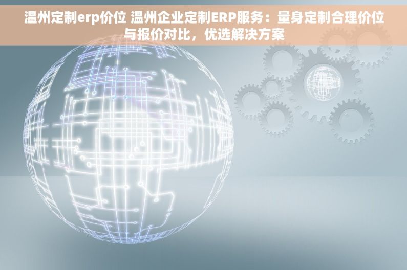 温州定制erp价位 温州企业定制ERP服务：量身定制合理价位与报价对比，优选解决方案