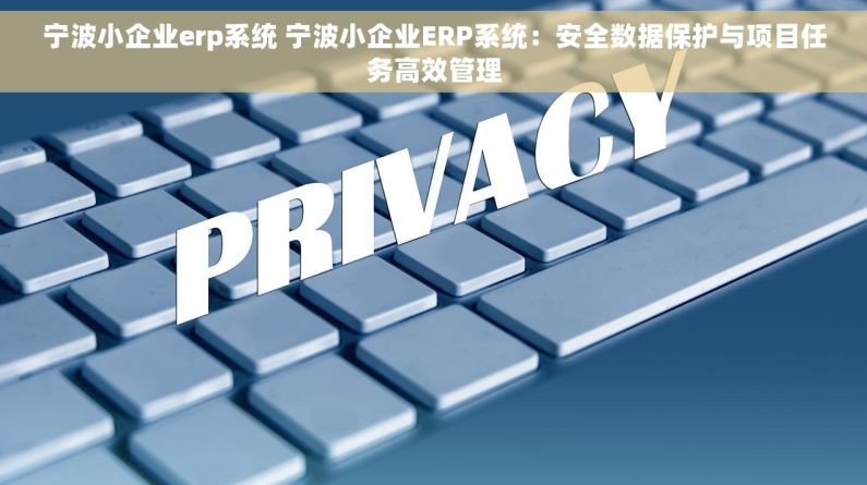 宁波小企业erp系统 宁波小企业ERP系统：安全数据保护与项目任务高效管理