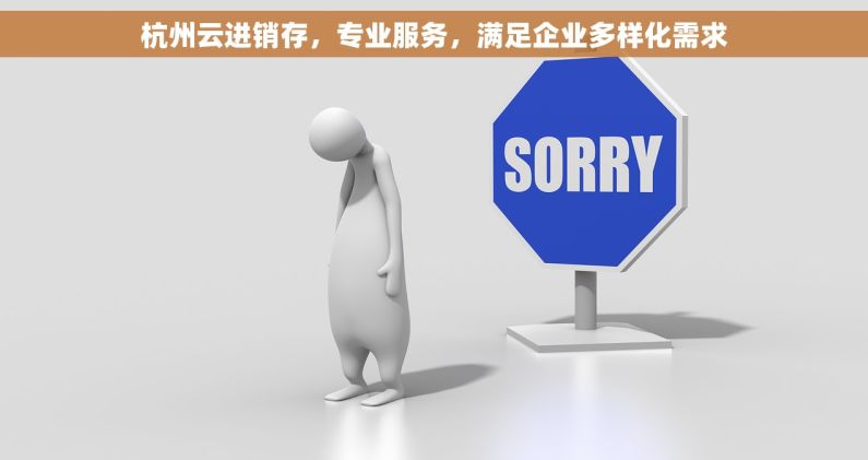 杭州云进销存，专业服务，满足企业多样化需求