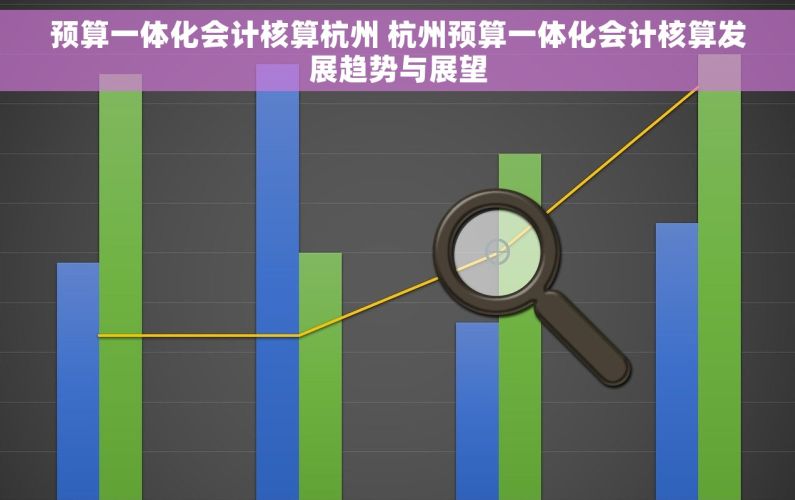 预算一体化会计核算杭州 杭州预算一体化会计核算发展趋势与展望