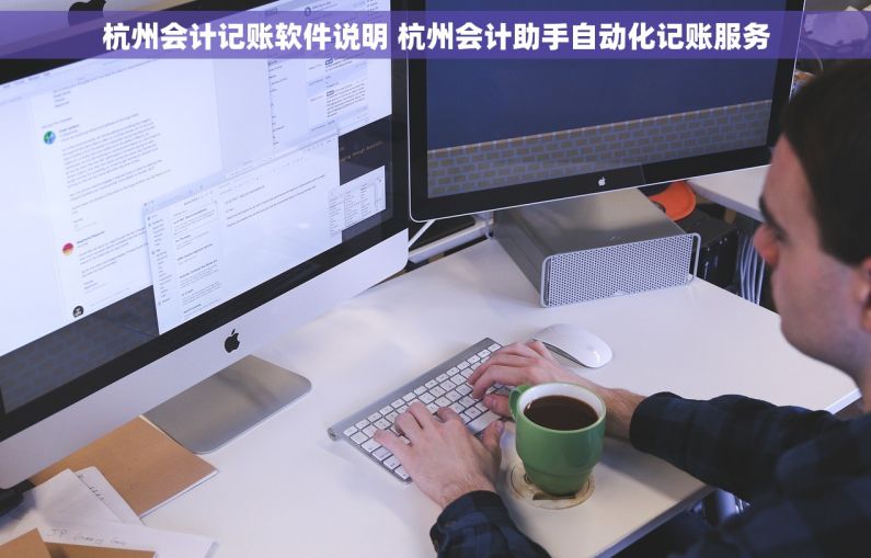 杭州会计记账软件说明 杭州会计助手自动化记账服务