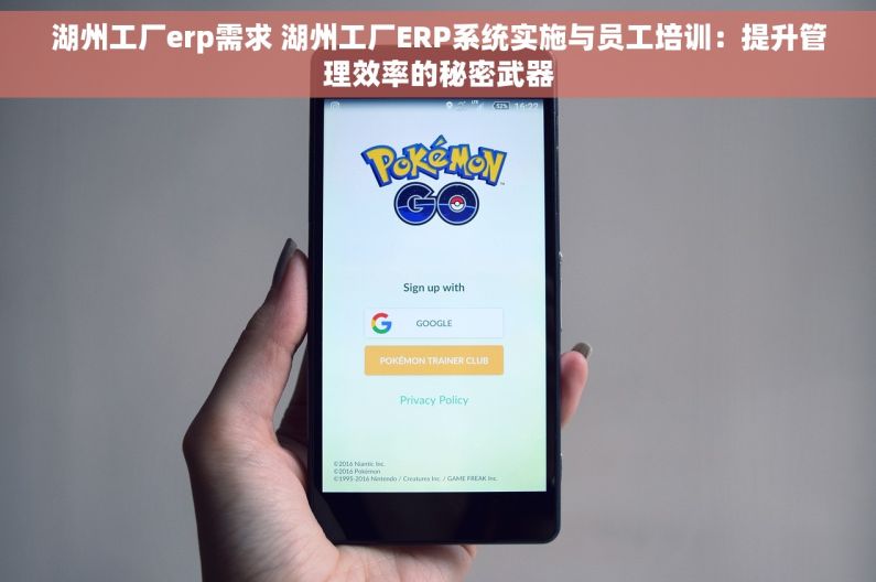 湖州工厂erp需求 湖州工厂ERP系统实施与员工培训：提升管理效率的秘密武器