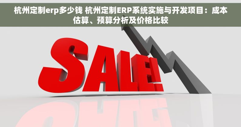 杭州定制erp多少钱 杭州定制ERP系统实施与开发项目：成本估算、预算分析及价格比较
