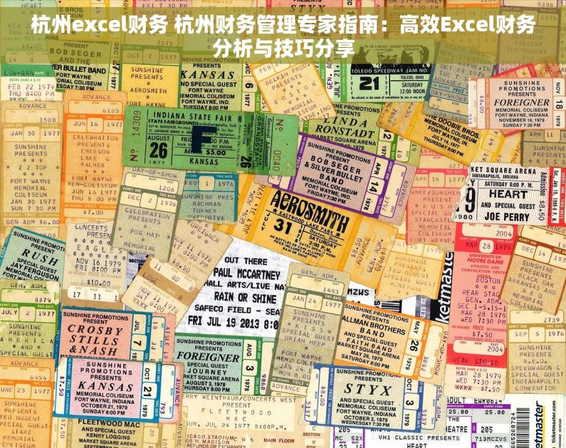 杭州excel财务 杭州财务管理专家指南：高效Excel财务分析与技巧分享