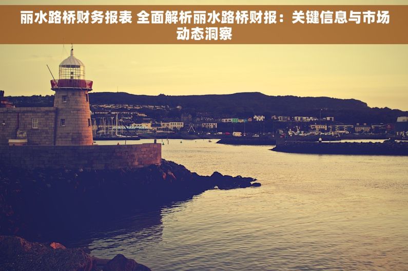 丽水路桥财务报表 全面解析丽水路桥财报：关键信息与市场动态洞察