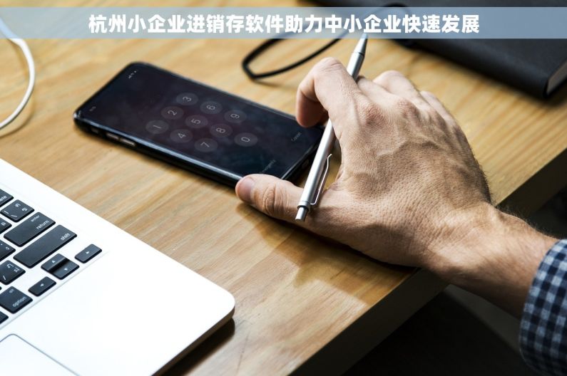 杭州小企业进销存软件助力中小企业快速发展