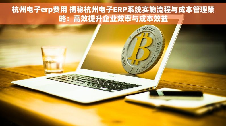杭州电子erp费用 揭秘杭州电子ERP系统实施流程与成本管理策略：高效提升企业效率与成本效益