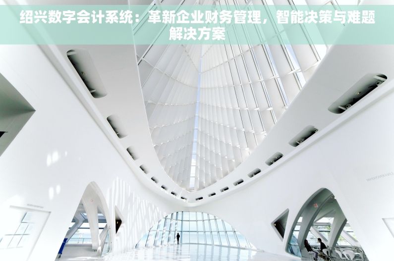 绍兴数字会计系统：革新企业财务管理，智能决策与难题解决方案