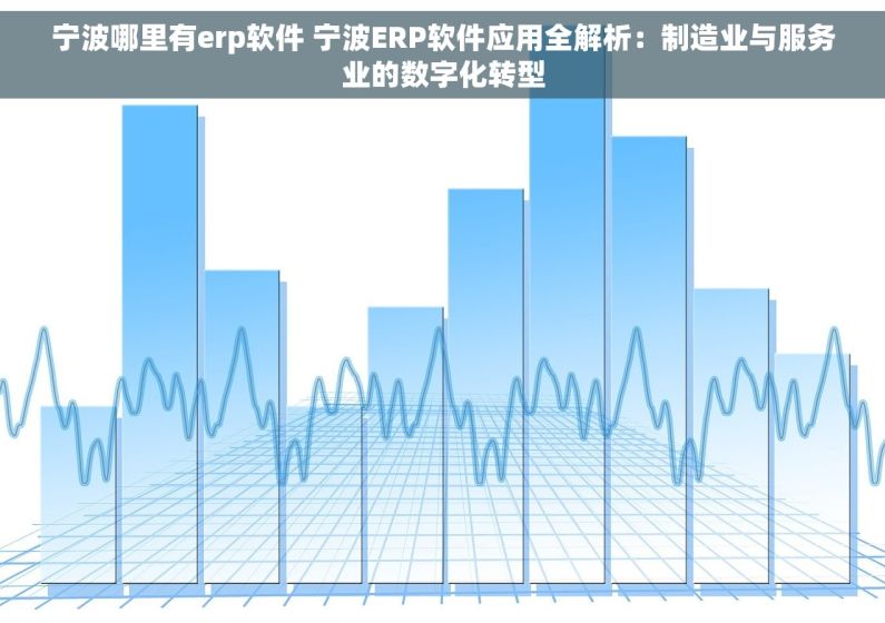 宁波哪里有erp软件 宁波ERP软件应用全解析：制造业与服务业的数字化转型