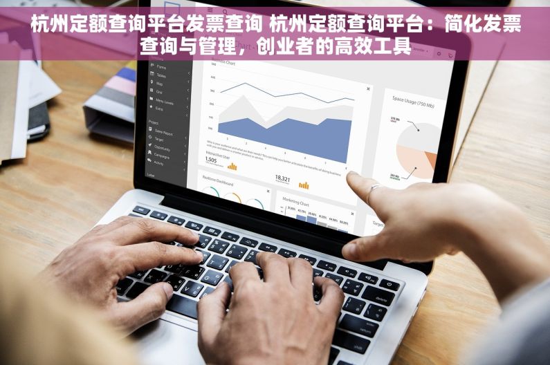 杭州定额查询平台发票查询 杭州定额查询平台：简化发票查询与管理，创业者的高效工具