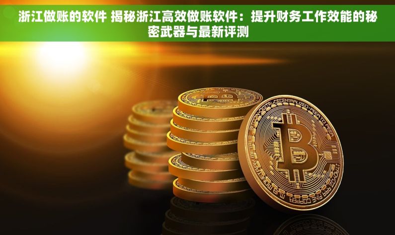 浙江做账的软件 揭秘浙江高效做账软件：提升财务工作效能的秘密武器与最新评测