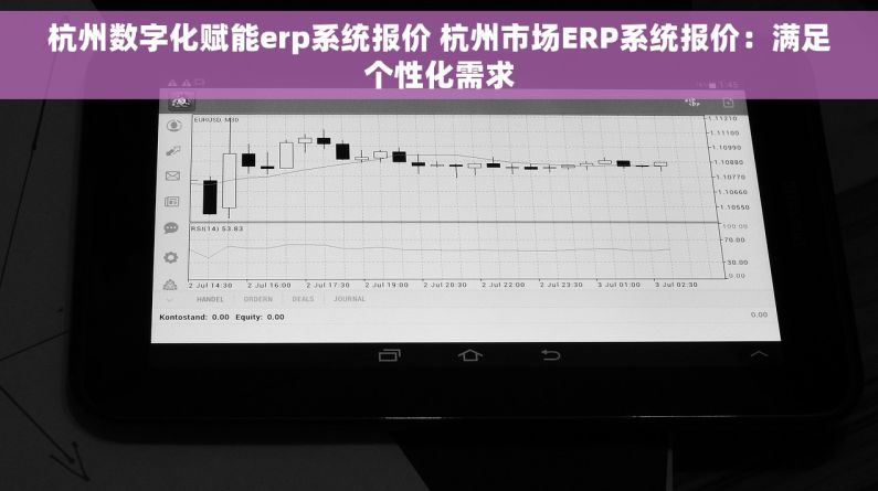 杭州数字化赋能erp系统报价 杭州市场ERP系统报价：满足个性化需求