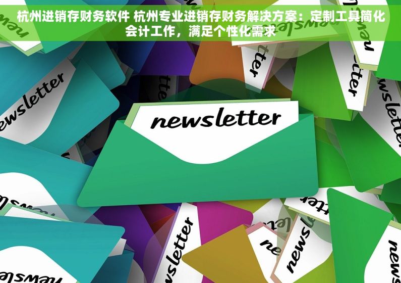 杭州进销存财务软件 杭州专业进销存财务解决方案：定制工具简化会计工作，满足个性化需求