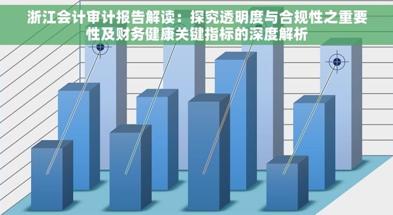 浙江会计审计报告解读：探究透明度与合规性之重要性及财务健康关键指标的深度解析