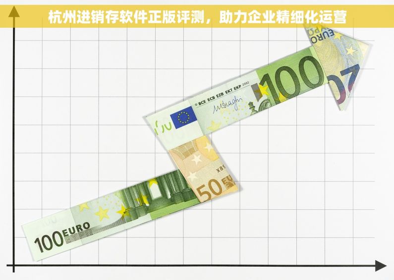 杭州进销存软件正版评测，助力企业精细化运营