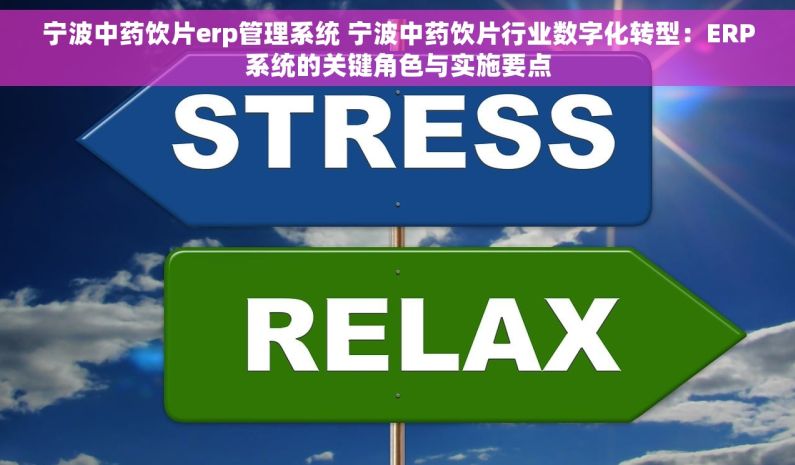 宁波中药饮片erp管理系统 宁波中药饮片行业数字化转型：ERP系统的关键角色与实施要点