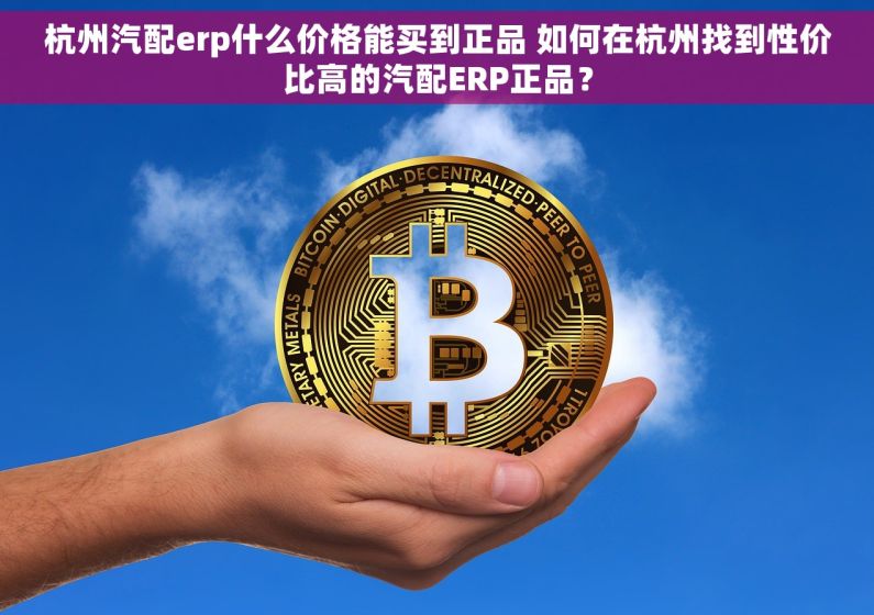 杭州汽配erp什么价格能买到正品 如何在杭州找到性价比高的汽配ERP正品？