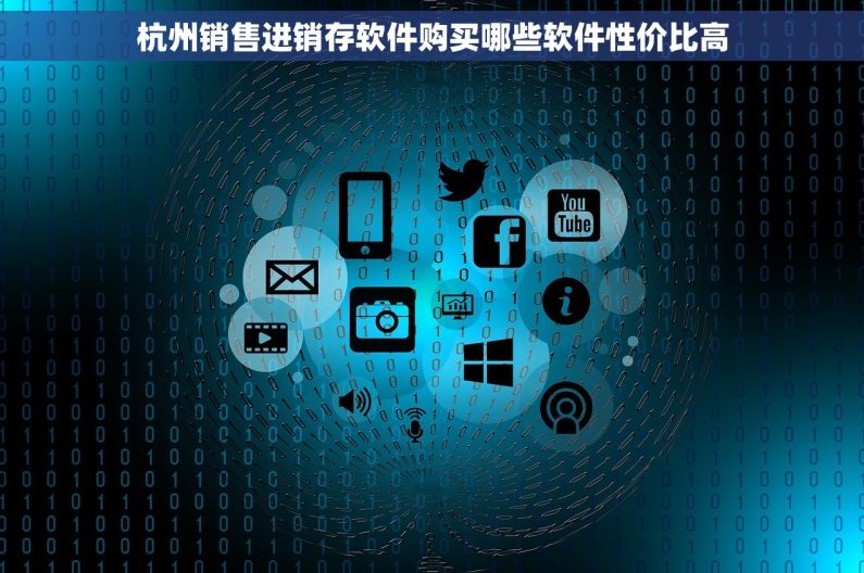 杭州销售进销存软件购买哪些软件性价比高