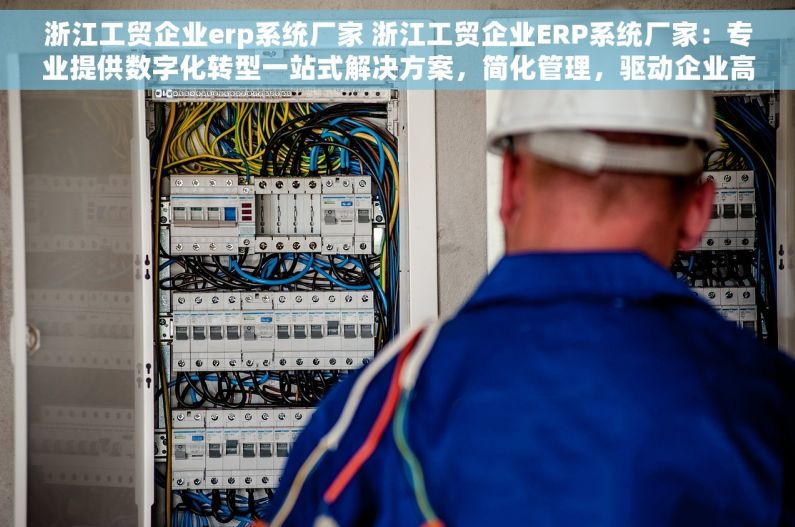 浙江工贸企业erp系统厂家 浙江工贸企业ERP系统厂家：专业提供数字化转型一站式解决方案，简化管理，驱动企业高效发展