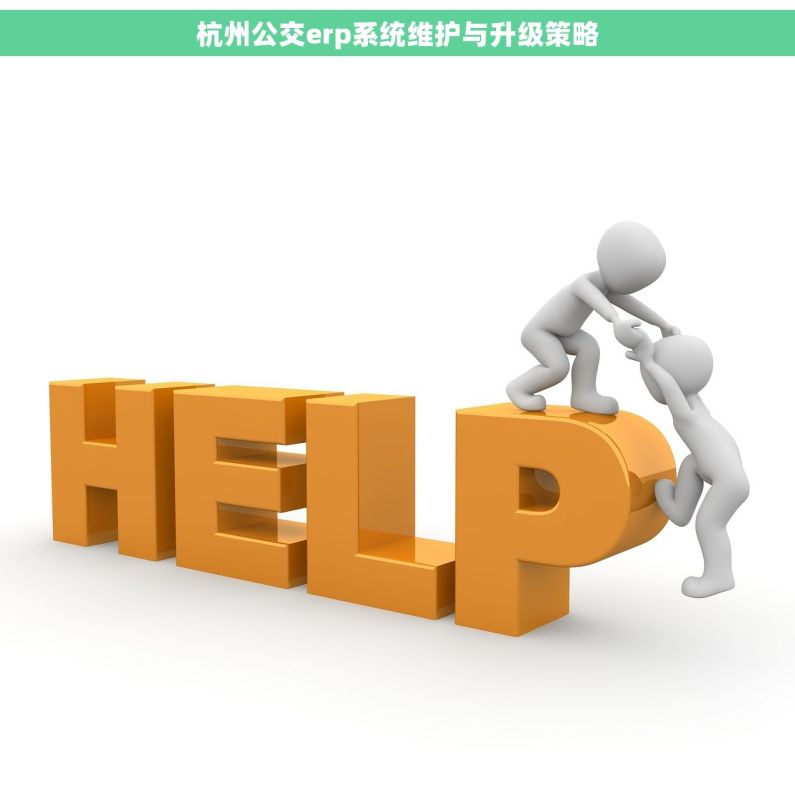 杭州公交erp系统维护与升级策略