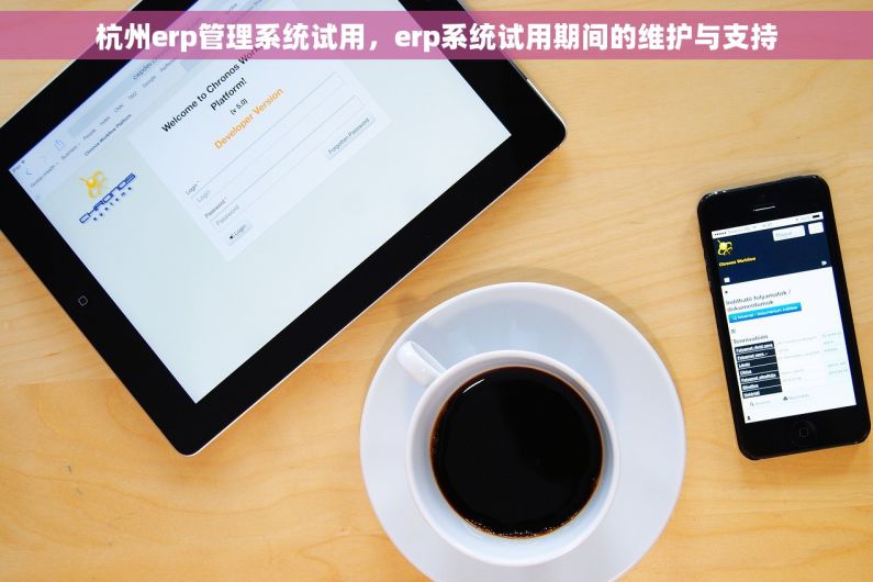 杭州erp管理系统试用，erp系统试用期间的维护与支持