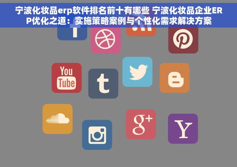 宁波化妆品erp软件排名前十有哪些 宁波化妆品企业ERP优化之道：实施策略案例与个性化需求解决方案