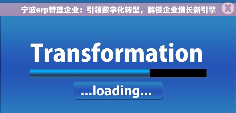 宁波erp管理企业：引领数字化转型，解锁企业增长新引擎
