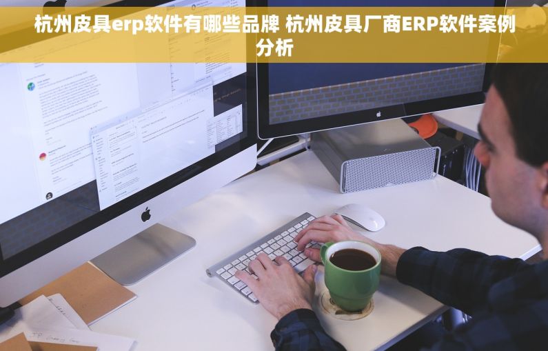 杭州皮具erp软件有哪些品牌 杭州皮具厂商ERP软件案例分析
