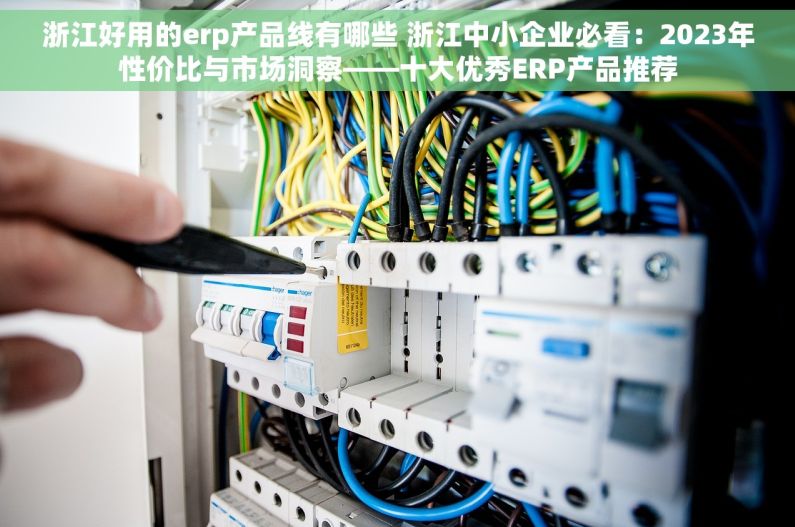 浙江好用的erp产品线有哪些 浙江中小企业必看：2023年性价比与市场洞察——十大优秀ERP产品推荐