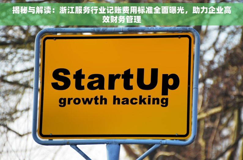 揭秘与解读：浙江服务行业记账费用标准全面曝光，助力企业高效财务管理