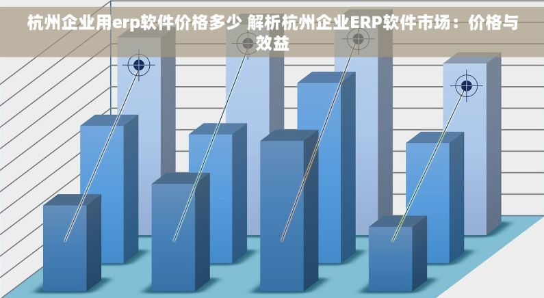 杭州企业用erp软件价格多少 解析杭州企业ERP软件市场：价格与效益