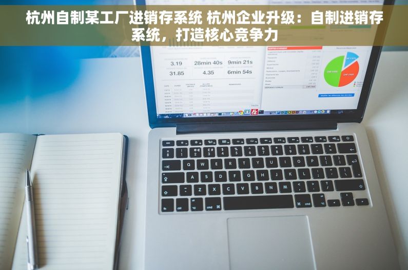 杭州自制某工厂进销存系统 杭州企业升级：自制进销存系统，打造核心竞争力