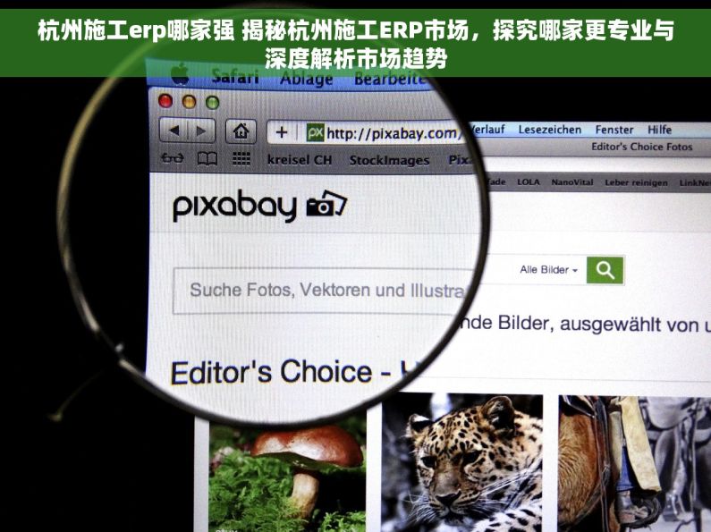 杭州施工erp哪家强 揭秘杭州施工ERP市场，探究哪家更专业与深度解析市场趋势