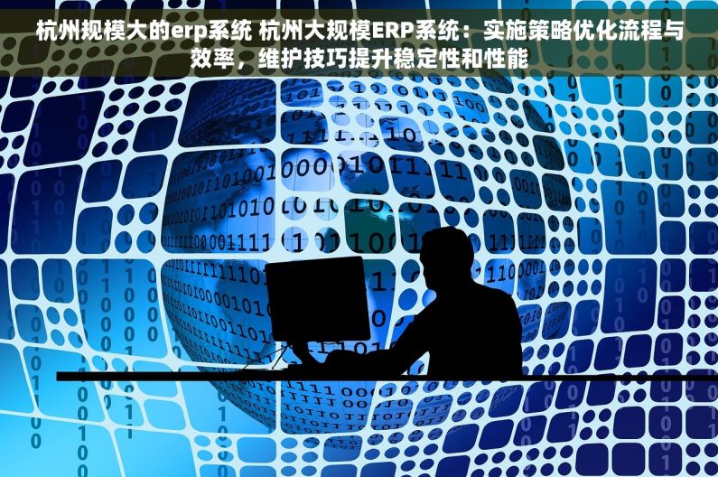 杭州规模大的erp系统 杭州大规模ERP系统：实施策略优化流程与效率，维护技巧提升稳定性和性能
