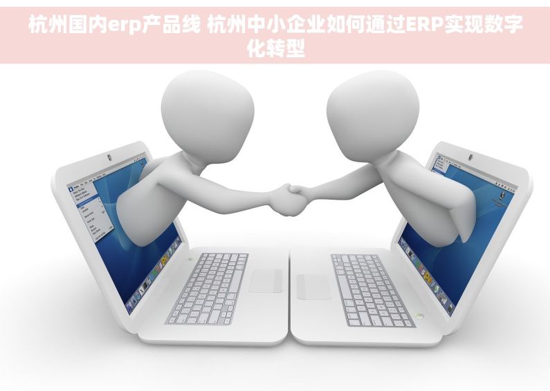 杭州国内erp产品线 杭州中小企业如何通过ERP实现数字化转型