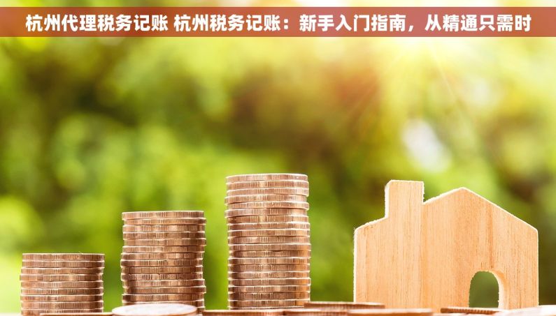 杭州代理税务记账 杭州税务记账：新手入门指南，从精通只需时