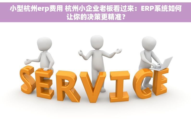 小型杭州erp费用 杭州小企业老板看过来：ERP系统如何让你的决策更精准？